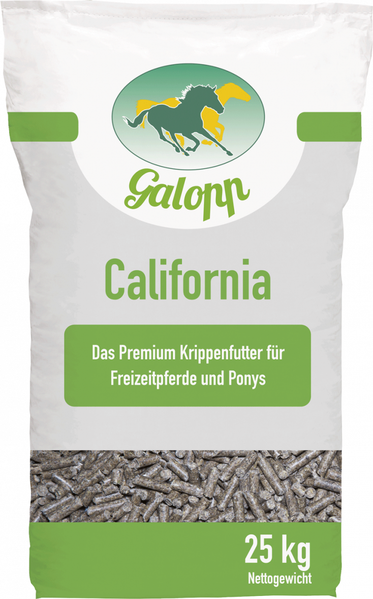 Galopp California