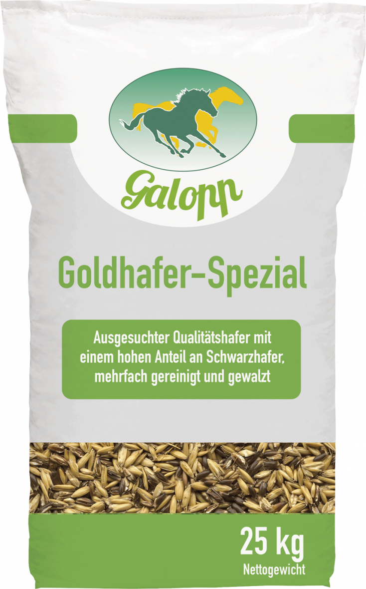 Galopp Goldhafer-Spezial