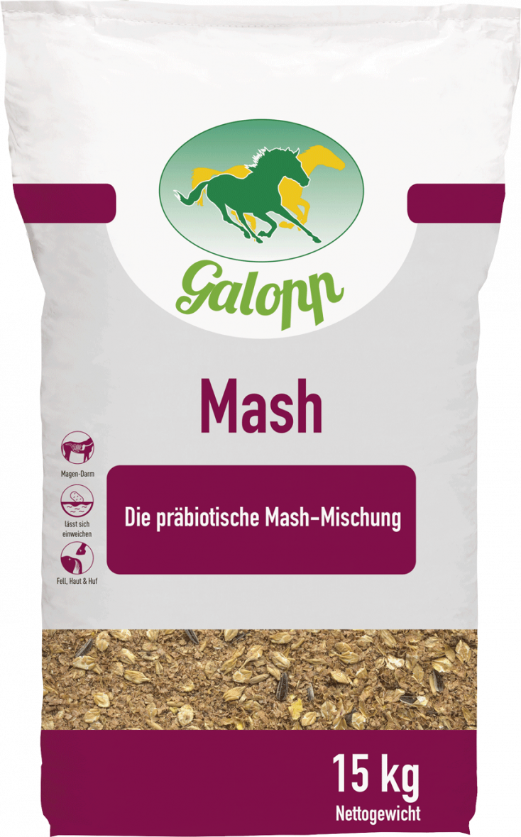 Galopp Mash