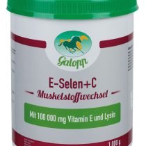 Galopp_E-SelenC-2.jpg