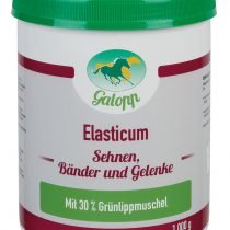 Galopp_Elasticum-2.jpg