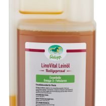 Galopp_LinoVital_Leinoel-2.jpg