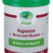 Galopp_Magnesium-2.jpg