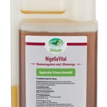 Galopp_NigellaVital-2.jpg