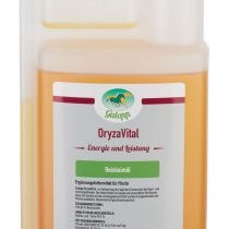 Galopp_OrzyaVital-2.jpg